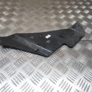 PLASTICO INTERIOR CARENADO DERECHO