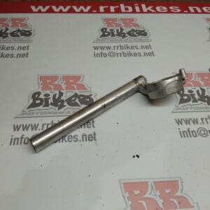 SEMIMANILLAR IZQUIERDO