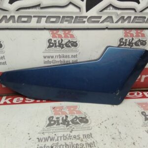 PLASTICO EMBELLECEDOR DERECHO