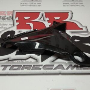 EMBELLECEDOR DERECHO CHASIS