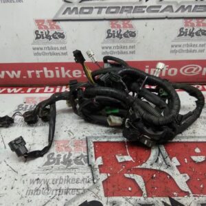 INSTALACIÓN ELÉCTRICA