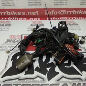 INSTALACIÓN ELECTRICA