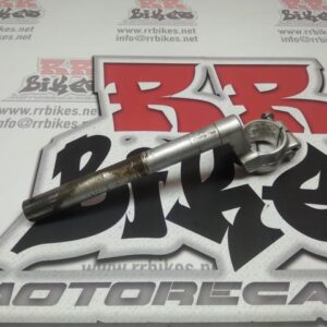 SEMIMANILLAR IZQUIERDO