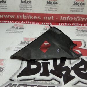 PLASTICO CARENADO INTERIOR DERECHO