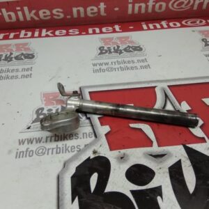 SEMIMNAILLAR DERECHO