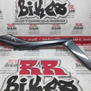 PLASTICO INTERMEDIO IZQUIERDO