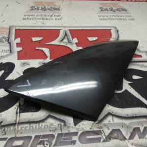 EMBELLECEDOR IZQUIERDO