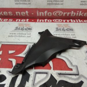 PLASTICO EMBELLECEDOR DERECHO