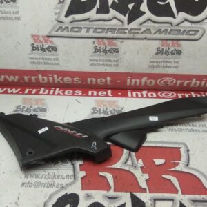 PLASTICO LATERAL DERECHO