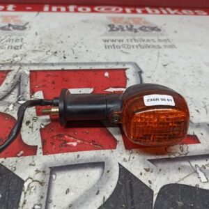 INTERMITENTE TRASERO DERECHO