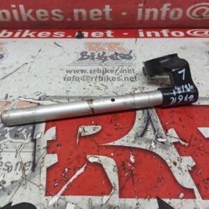 SEMIMANILLAR IZQUIERDO