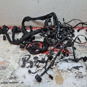 CABLEADO GENERAL BMW S1000RR 2025