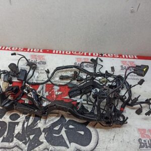 CABLEADO GENERAL TRIUMPH STREET TRIPLE 660S 2019