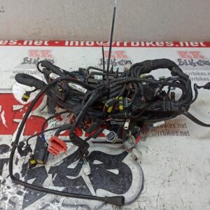 CABLEADO GENERAL APRILIA RS660 2022