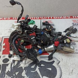 CABLEADO GENERAL SUZUKI VSTROM 1050 XT 2022